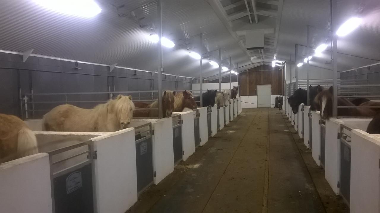 Glaesibaer 2 And Horsefarm *
